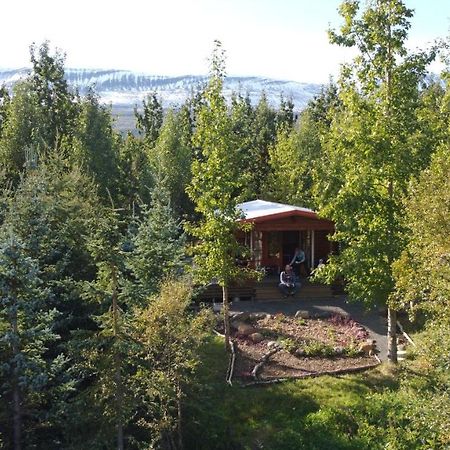 Bakkakot 1 - Cozy Cabins In The Woods Akureyri Extérieur photo