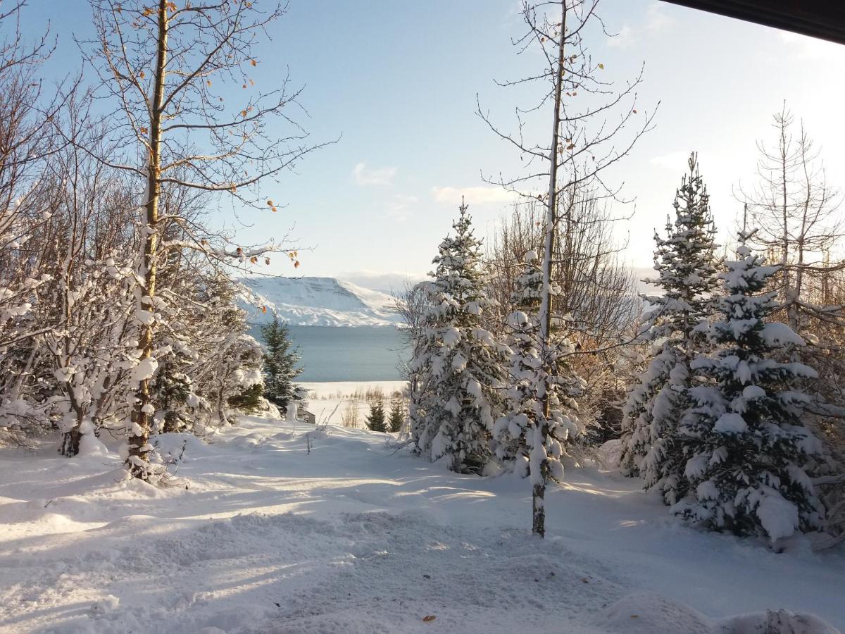 Bakkakot 1 - Cozy Cabins In The Woods Akureyri Extérieur photo