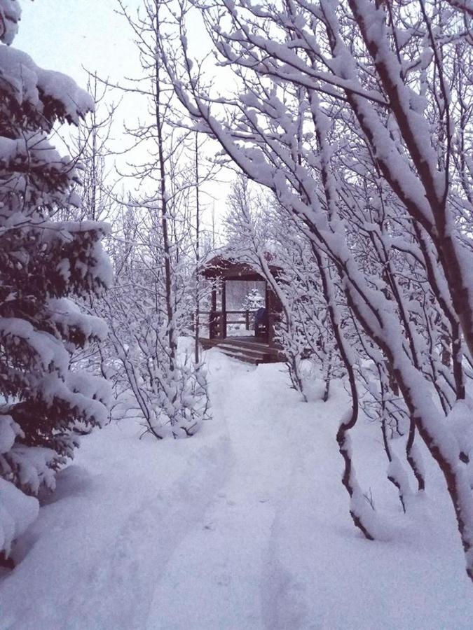 Bakkakot 1 - Cozy Cabins In The Woods Akureyri Extérieur photo