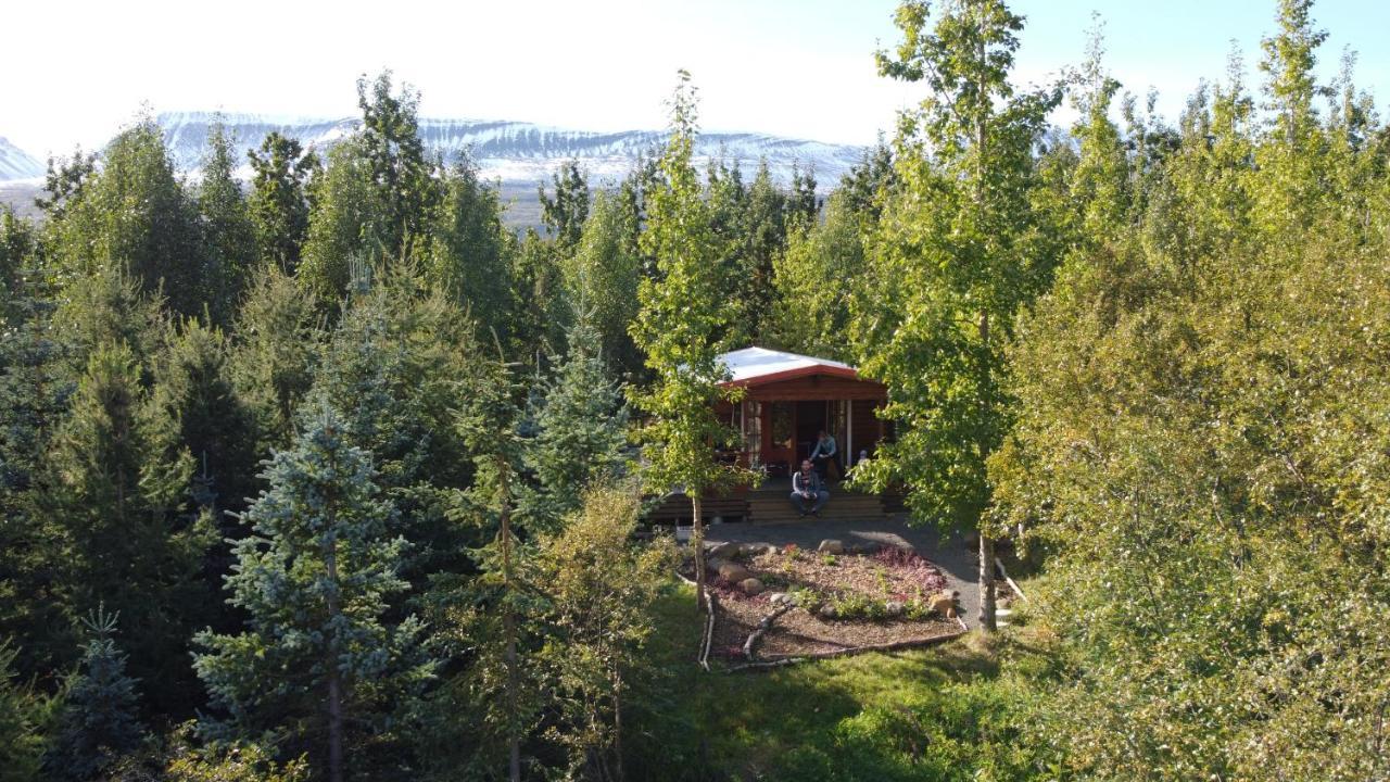 Bakkakot 1 - Cozy Cabins In The Woods Akureyri Extérieur photo