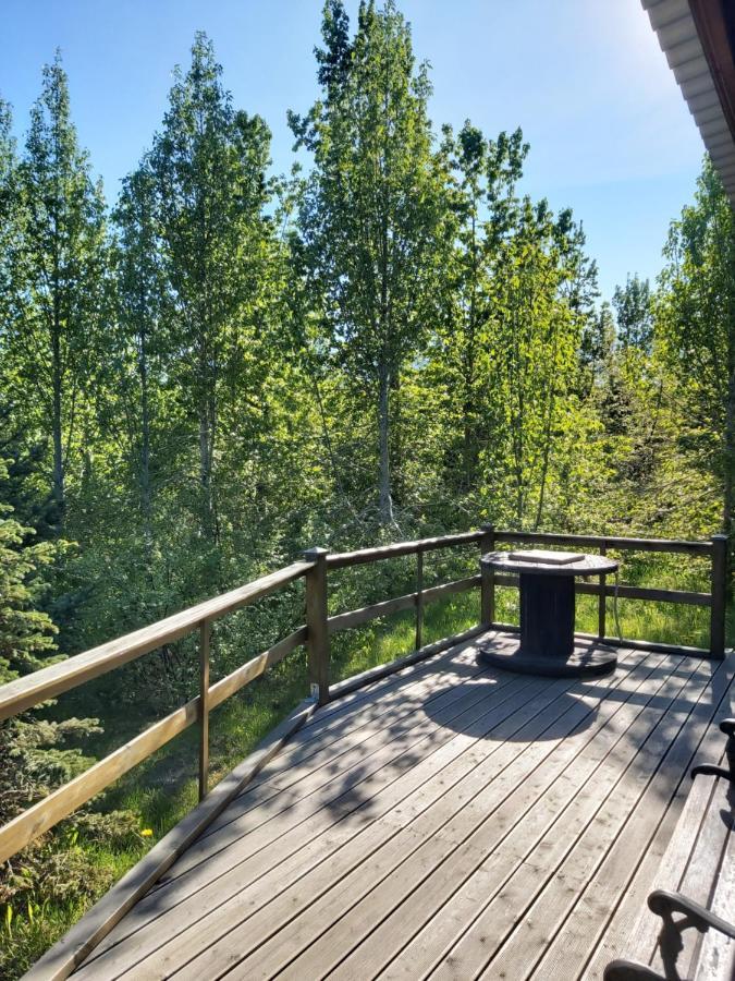 Bakkakot 1 - Cozy Cabins In The Woods Akureyri Extérieur photo