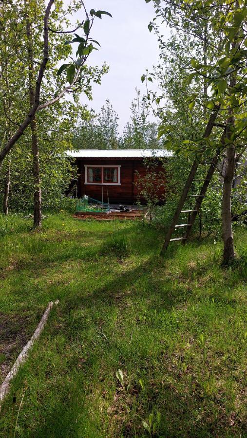 Bakkakot 1 - Cozy Cabins In The Woods Akureyri Extérieur photo